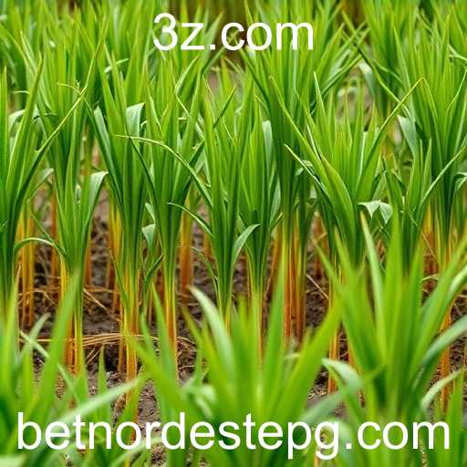 Inovação e Comunidade: O Crescimento do Nordestepg